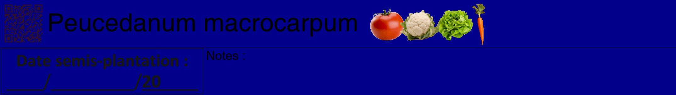 Étiquette de : Peucedanum macrocarpum - format a - style noire7hel avec qrcode et comestibilité simplifiée
