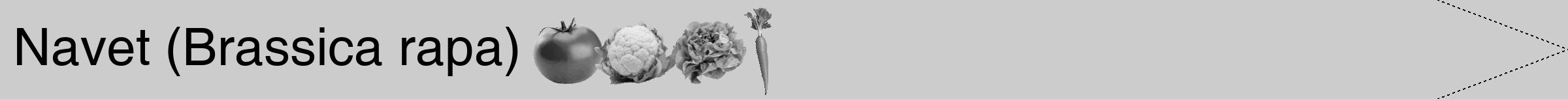 Étiquette de : Brassica rapa - format b - style noire0hel avec comestibilité simplifiée