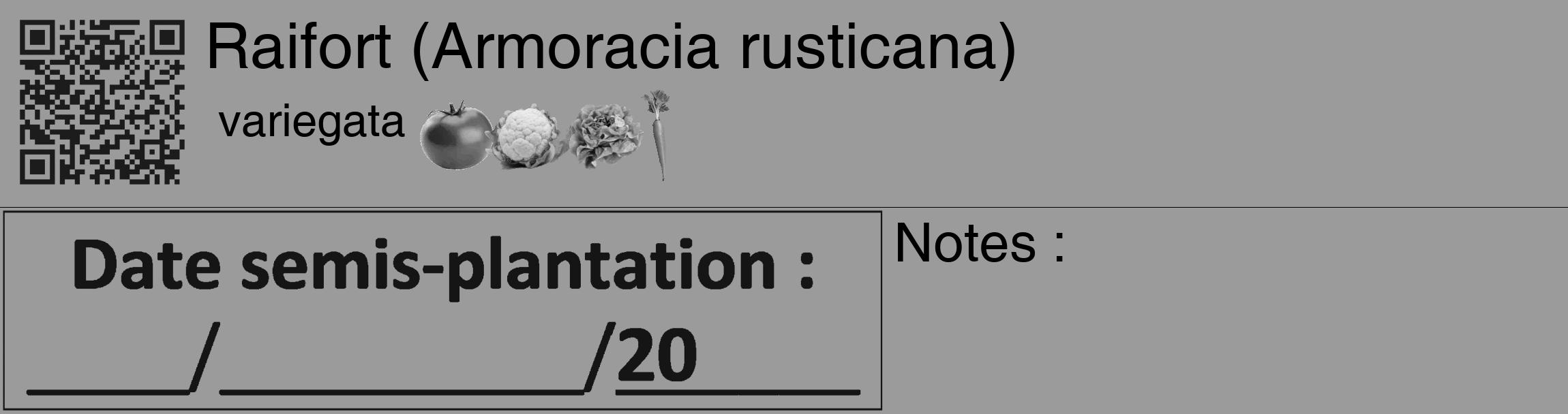 Étiquette de : Armoracia rusticana variegata - format c - style noire52_basique_basiquehel avec qrcode et comestibilité simplifiée