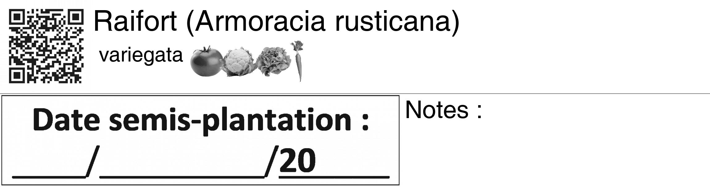 Étiquette de : Armoracia rusticana variegata - format c - style noire60_basiquegrrvhel avec qrcode et comestibilité simplifiée