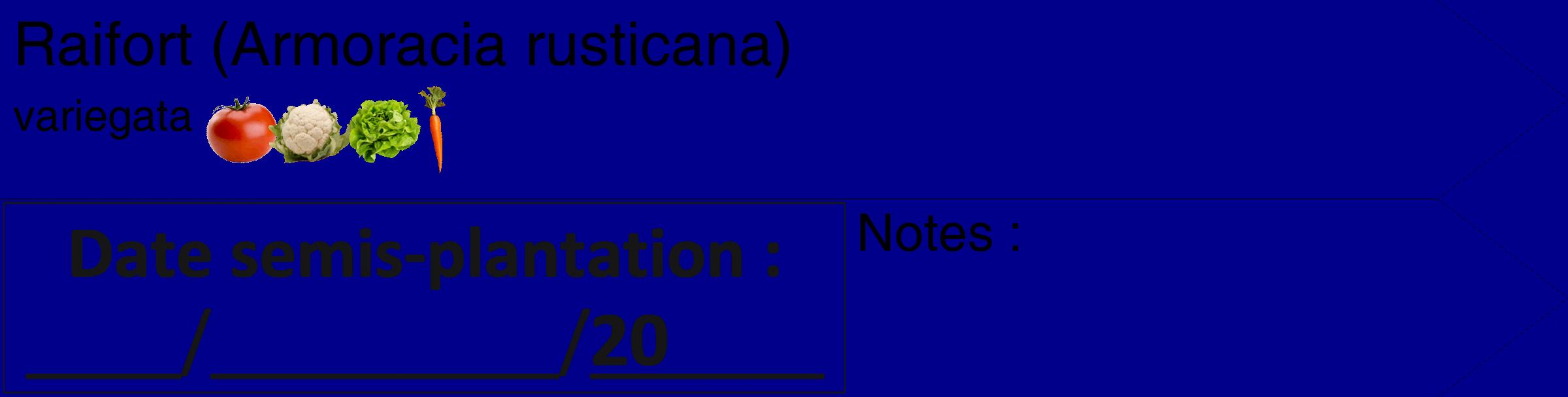 Étiquette de : Armoracia rusticana variegata - format c - style noire7_simple_simplehel avec comestibilité simplifiée