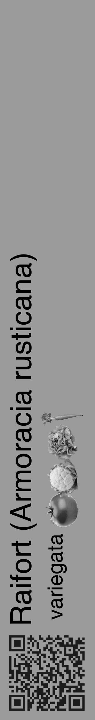 Étiquette de : Armoracia rusticana variegata - format c - style noire52_basique_basiquehel avec qrcode et comestibilité simplifiée - position verticale