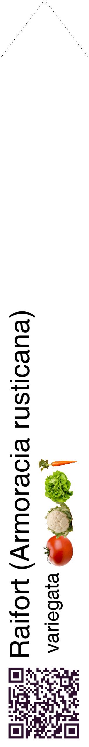 Étiquette de : Armoracia rusticana variegata - format c - style noire60_simplehel avec qrcode et comestibilité simplifiée