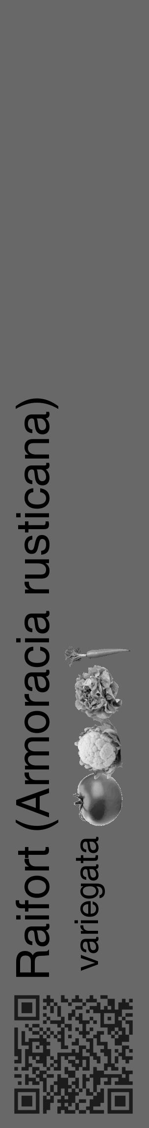 Étiquette de : Armoracia rusticana variegata - format c - style noire6_basique_basiquehel avec qrcode et comestibilité simplifiée - position verticale
