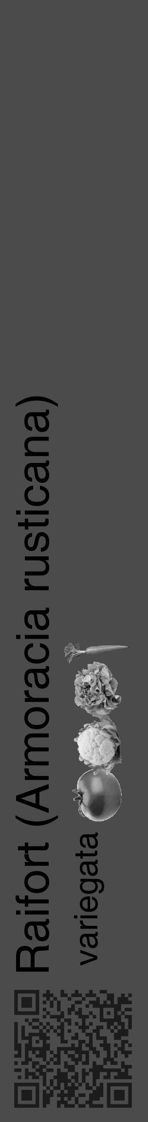Étiquette de : Armoracia rusticana variegata - format c - style noire9_basique_basiquehel avec qrcode et comestibilité simplifiée - position verticale