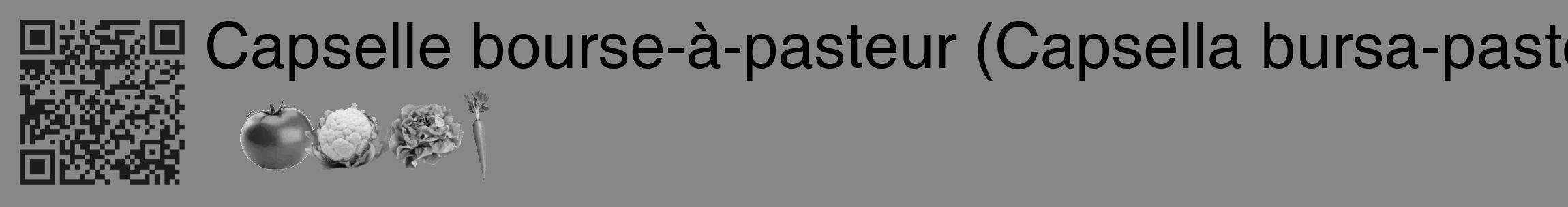 Étiquette de : Capsella bursa-pastoris - format c - style noire12_basique_basiquehel avec qrcode et comestibilité simplifiée