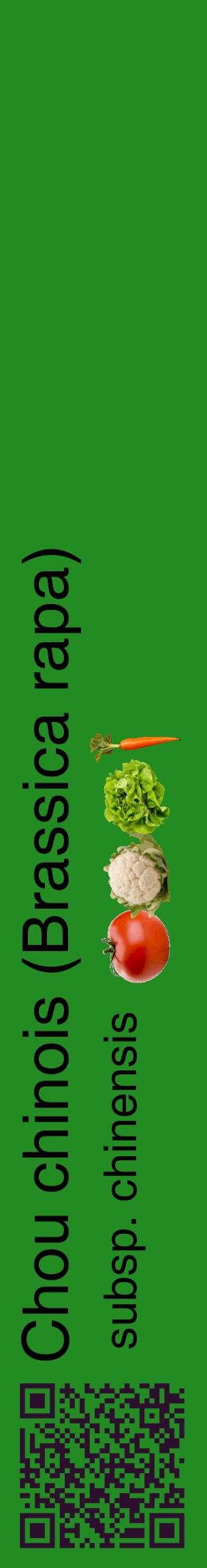 Étiquette de : Brassica rapa subsp. chinensis - format c - style noire10_basiquehel avec qrcode et comestibilité simplifiée