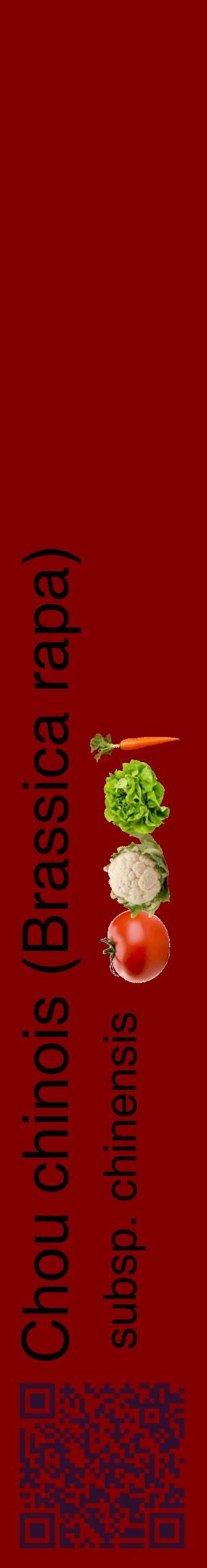 Étiquette de : Brassica rapa subsp. chinensis - format c - style noire29_basiquehel avec qrcode et comestibilité simplifiée