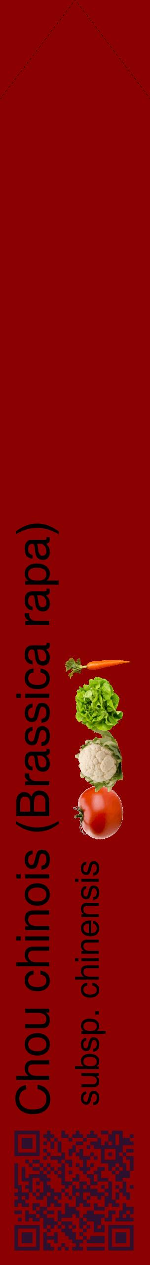 Étiquette de : Brassica rapa subsp. chinensis - format c - style noire34_simplehel avec qrcode et comestibilité simplifiée