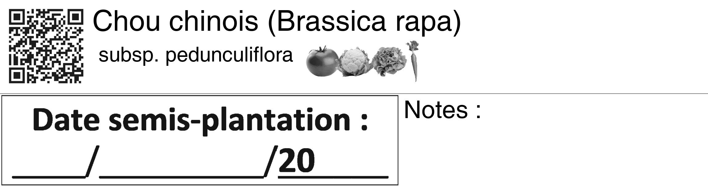 Étiquette de : Brassica rapa subsp. pedunculiflora - format c - style noire60_basiquegrrvhel avec qrcode et comestibilité simplifiée
