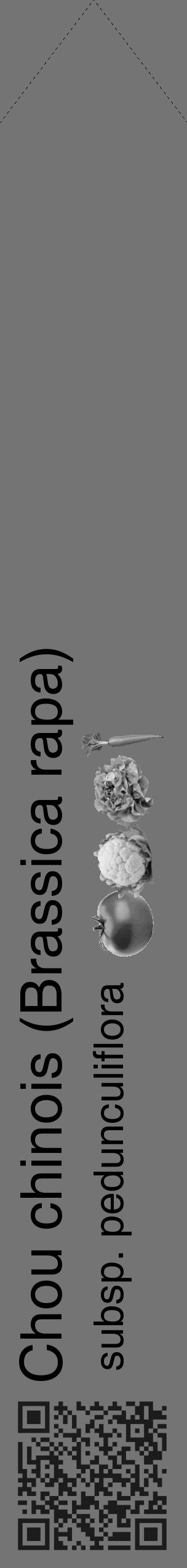 Étiquette de : Brassica rapa subsp. pedunculiflora - format c - style noire26_simple_simplehel avec qrcode et comestibilité simplifiée - position verticale