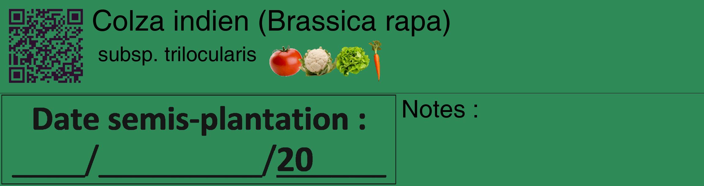Étiquette de : Brassica rapa subsp. trilocularis - format c - style noire11_basique_basiquehel avec qrcode et comestibilité simplifiée
