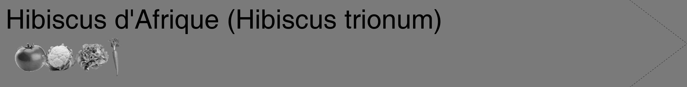 Étiquette de : Hibiscus trionum - format c - style noire3_simple_simplehel avec comestibilité simplifiée