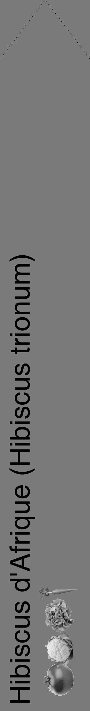 Étiquette de : Hibiscus trionum - format c - style noire3_simple_simplehel avec comestibilité simplifiée - position verticale