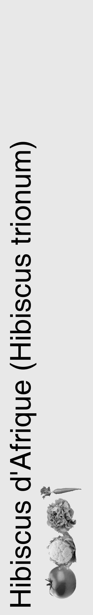 Étiquette de : Hibiscus trionum - format c - style noire55_basique_basiquehel avec comestibilité simplifiée - position verticale