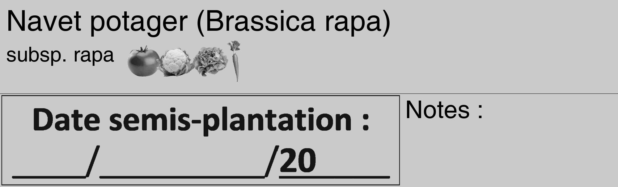 Étiquette de : Brassica rapa subsp. rapa - format c - style noire21_basique_basiquehel avec comestibilité simplifiée
