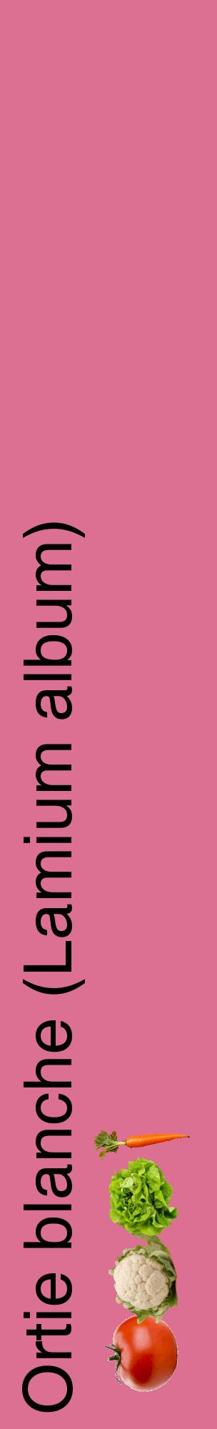 Étiquette de : Lamium album - format c - style noire44_basiquehel avec comestibilité simplifiée