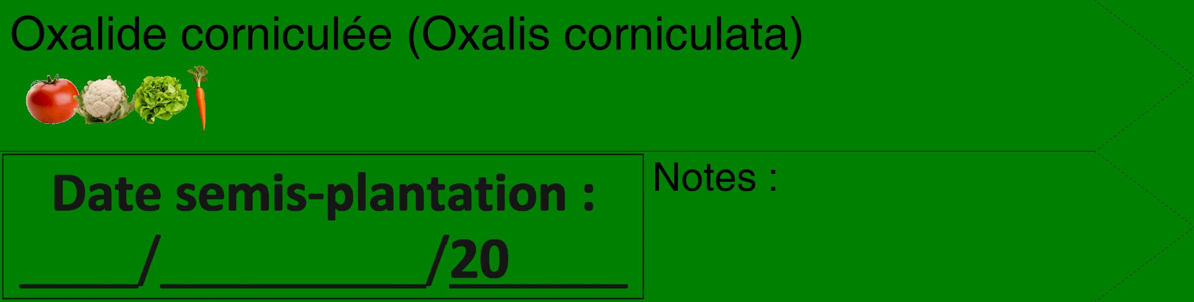 Étiquette de : Oxalis corniculata - format c - style noire9_simple_simplehel avec comestibilité simplifiée