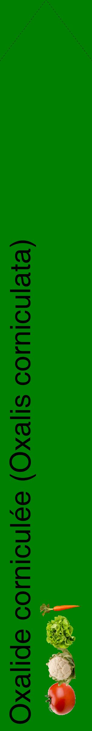 Étiquette de : Oxalis corniculata - format c - style noire9_simplehel avec comestibilité simplifiée