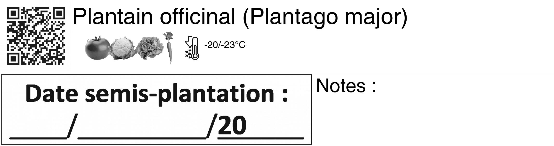 Étiquette de : Plantago major - format c - style noire60_basiquegrrvhel avec qrcode et comestibilité simplifiée