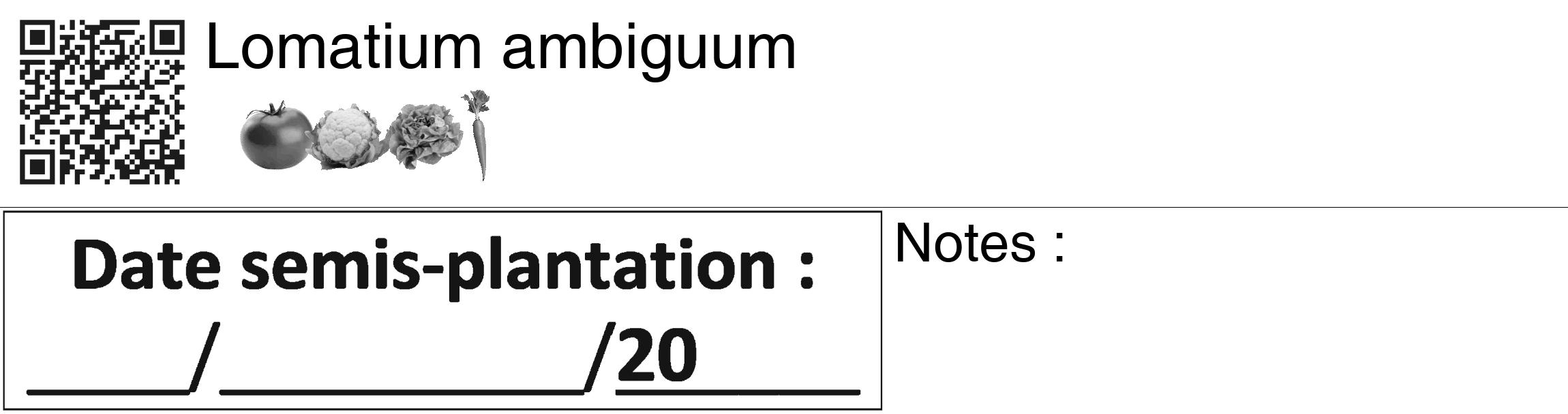 Étiquette de : Lomatium ambiguum - format c - style noire60_basiquegrrvhel avec qrcode et comestibilité simplifiée
