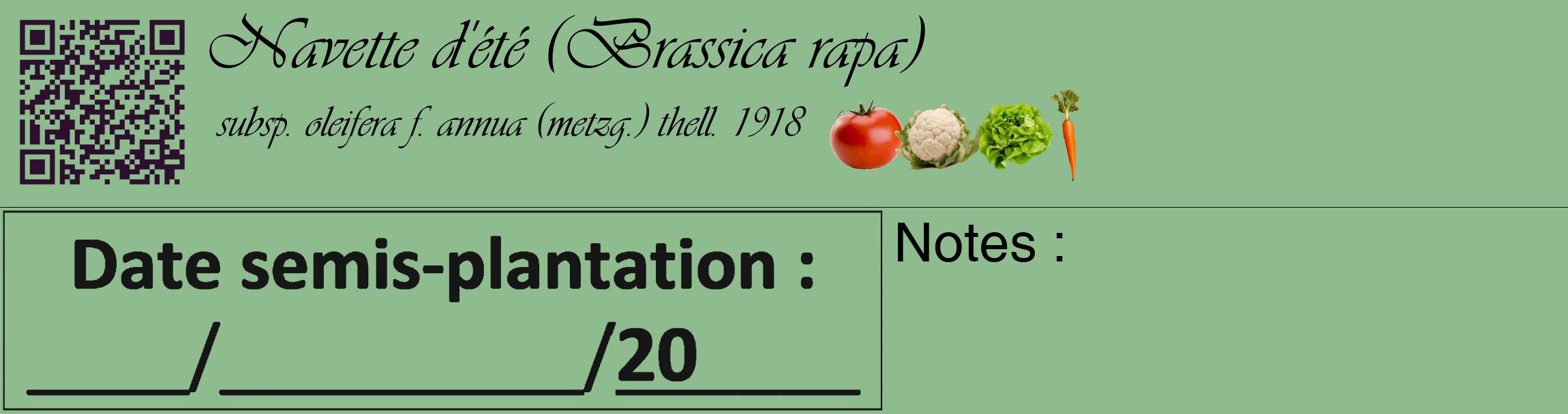 Étiquette de : Brassica rapa subsp. oleifera f. annua (metzg.) thell. 1918 - format c - style noire13_basique_basiqueviv avec qrcode et comestibilité simplifiée