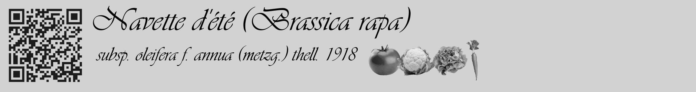 Étiquette de : Brassica rapa subsp. oleifera f. annua (metzg.) thell. 1918 - format c - style noire14_basique_basiqueviv avec qrcode et comestibilité simplifiée
