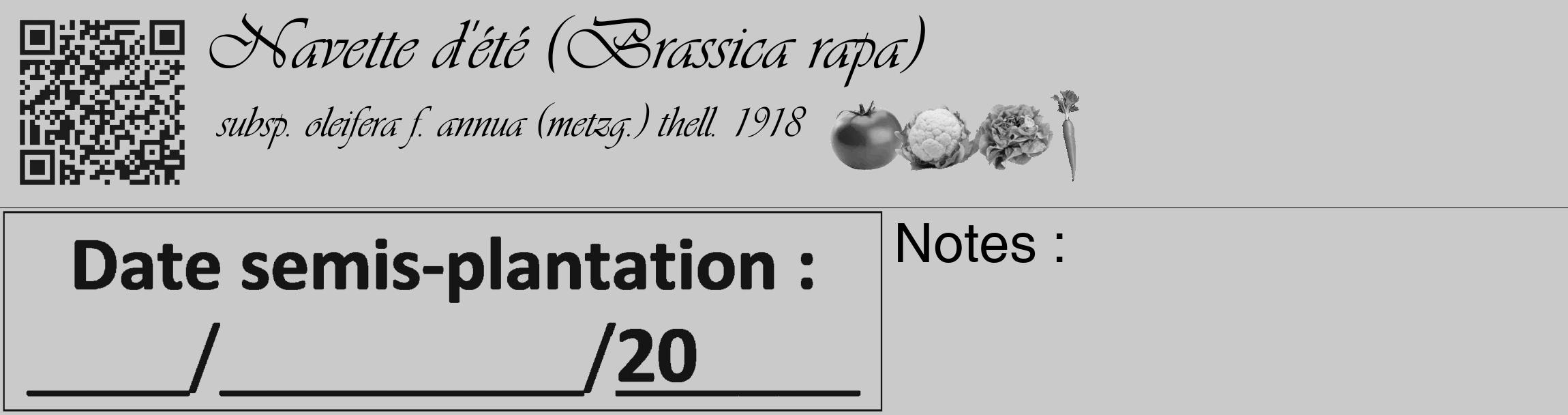 Étiquette de : Brassica rapa subsp. oleifera f. annua (metzg.) thell. 1918 - format c - style noire21_basique_basiqueviv avec qrcode et comestibilité simplifiée
