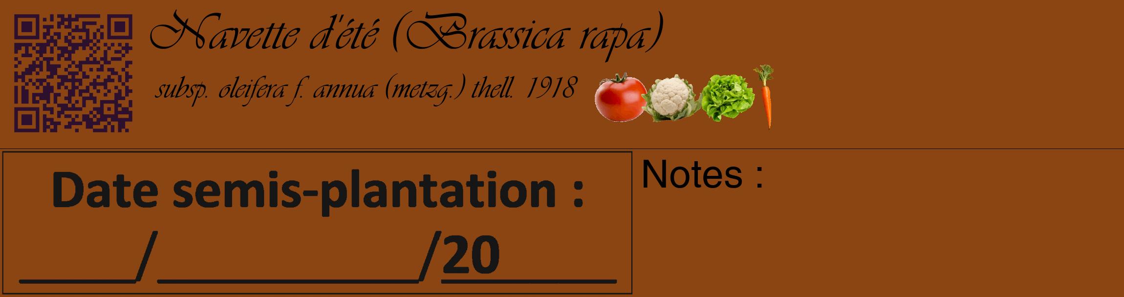 Étiquette de : Brassica rapa subsp. oleifera f. annua (metzg.) thell. 1918 - format c - style noire30_basique_basiqueviv avec qrcode et comestibilité simplifiée