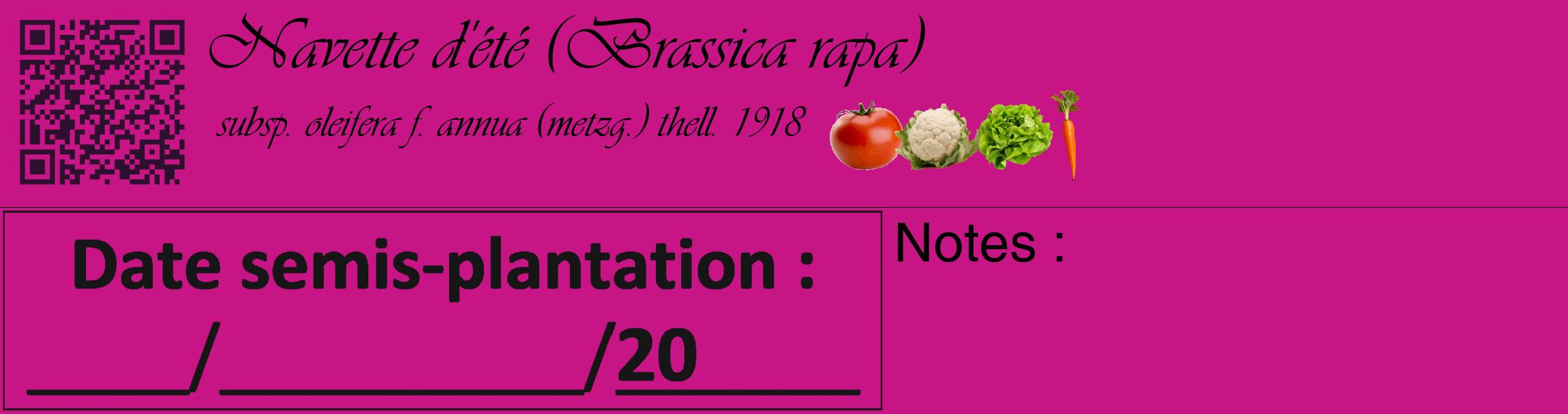 Étiquette de : Brassica rapa subsp. oleifera f. annua (metzg.) thell. 1918 - format c - style noire45_basique_basiqueviv avec qrcode et comestibilité simplifiée