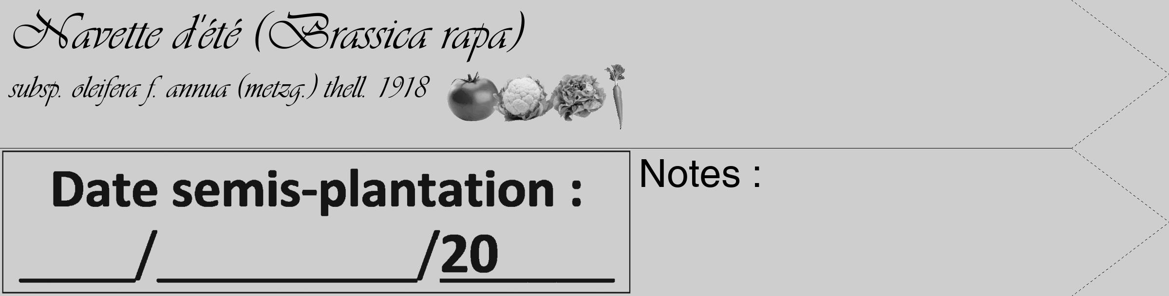 Étiquette de : Brassica rapa subsp. oleifera f. annua (metzg.) thell. 1918 - format c - style noire17_simple_simpleviv avec comestibilité simplifiée