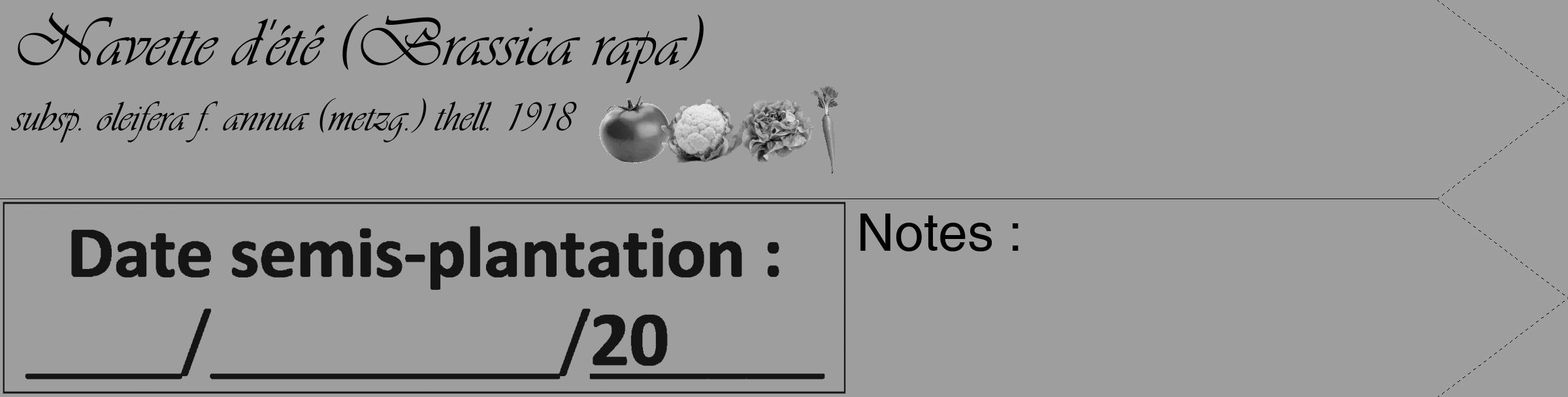 Étiquette de : Brassica rapa subsp. oleifera f. annua (metzg.) thell. 1918 - format c - style noire23_simple_simpleviv avec comestibilité simplifiée