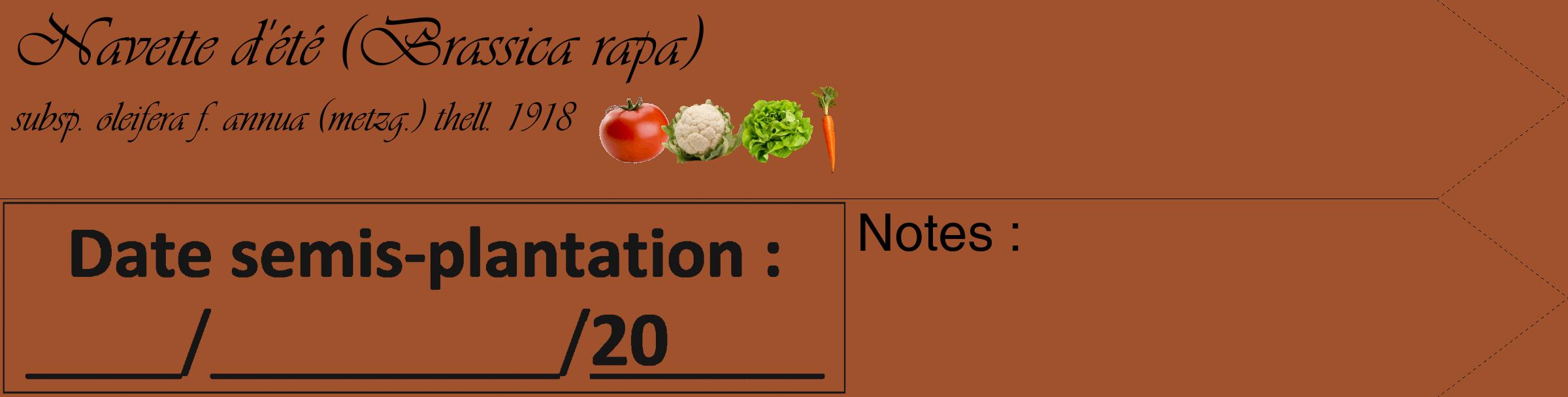 Étiquette de : Brassica rapa subsp. oleifera f. annua (metzg.) thell. 1918 - format c - style noire32_simple_simpleviv avec comestibilité simplifiée