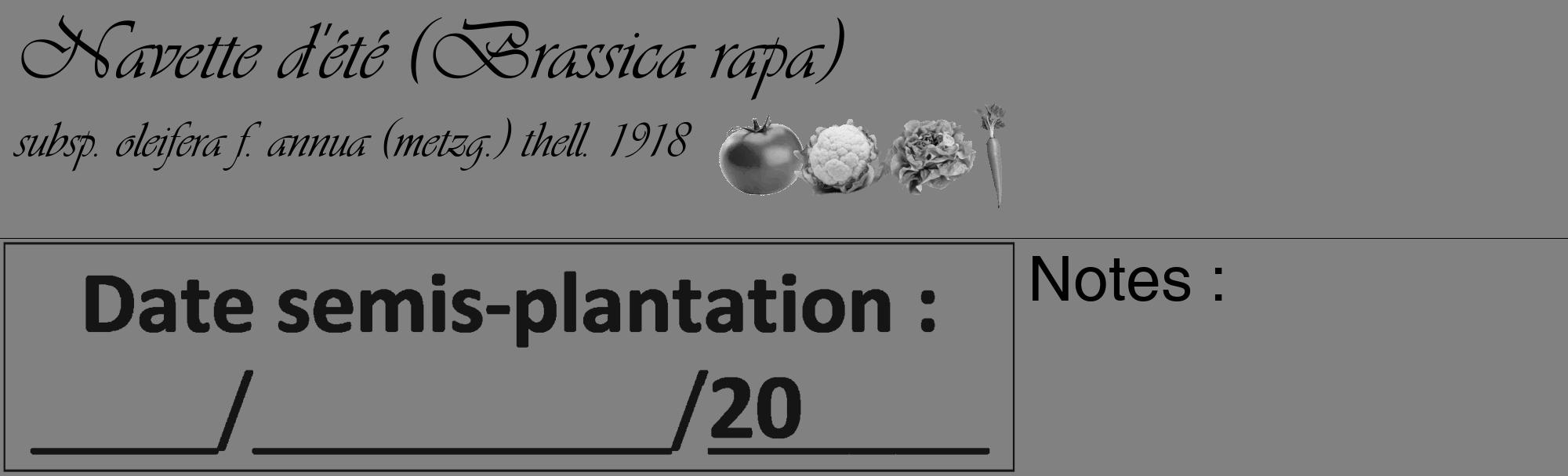 Étiquette de : Brassica rapa subsp. oleifera f. annua (metzg.) thell. 1918 - format c - style noire50_basique_basiqueviv avec comestibilité simplifiée