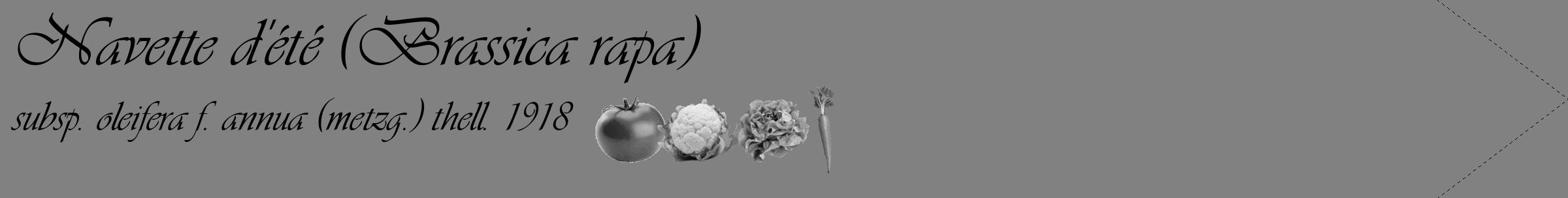 Étiquette de : Brassica rapa subsp. oleifera f. annua (metzg.) thell. 1918 - format c - style noire50_simple_simpleviv avec comestibilité simplifiée