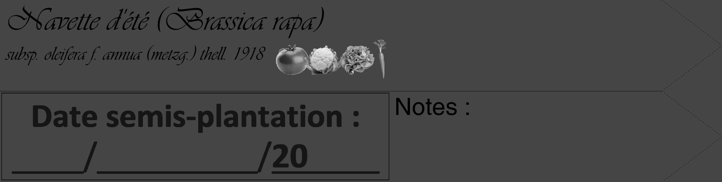 Étiquette de : Brassica rapa subsp. oleifera f. annua (metzg.) thell. 1918 - format c - style noire58_simple_simpleviv avec comestibilité simplifiée