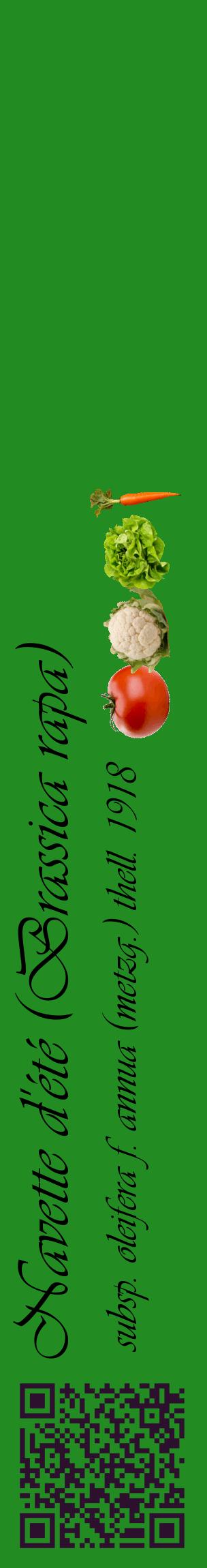 Étiquette de : Brassica rapa subsp. oleifera f. annua (metzg.) thell. 1918 - format c - style noire10_basiqueviv avec qrcode et comestibilité simplifiée