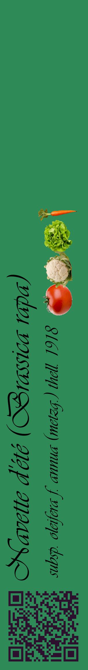 Étiquette de : Brassica rapa subsp. oleifera f. annua (metzg.) thell. 1918 - format c - style noire11_basiqueviv avec qrcode et comestibilité simplifiée