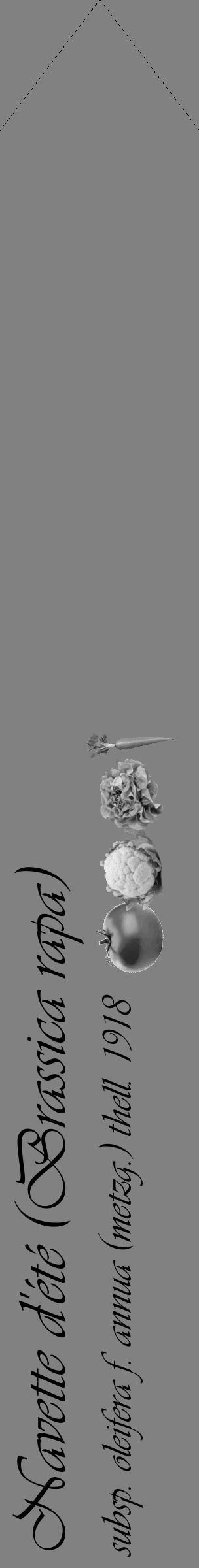 Étiquette de : Brassica rapa subsp. oleifera f. annua (metzg.) thell. 1918 - format c - style noire50_simple_simpleviv avec comestibilité simplifiée - position verticale