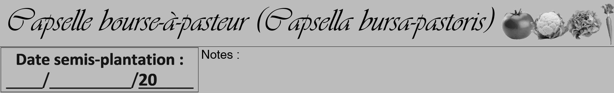 Étiquette de : Capsella bursa-pastoris - format a - style noire1viv avec comestibilité simplifiée