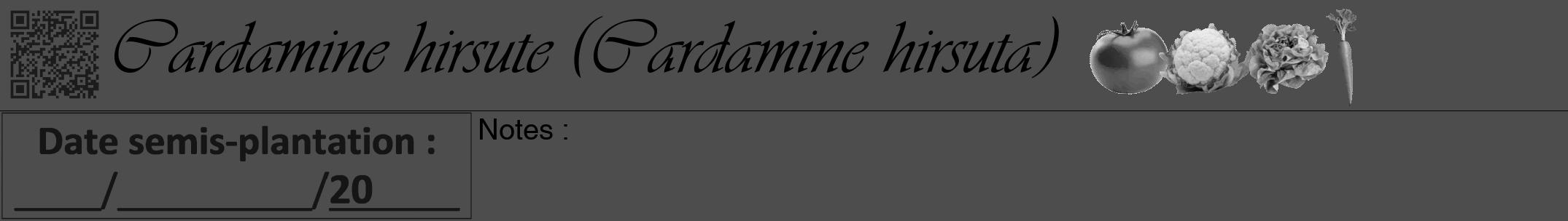Étiquette de : Cardamine hirsuta - format a - style noire28viv avec qrcode et comestibilité simplifiée