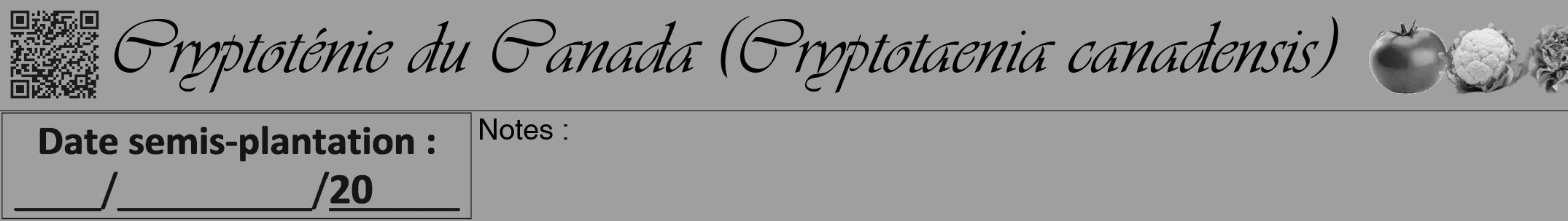 Étiquette de : Cryptotaenia canadensis - format a - style noire24viv avec qrcode et comestibilité simplifiée