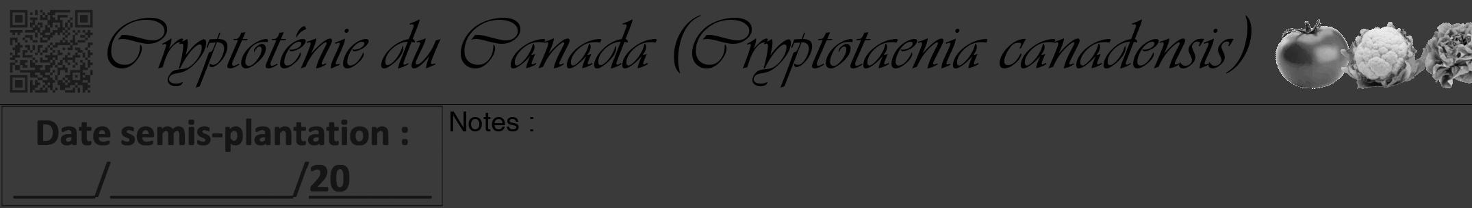 Étiquette de : Cryptotaenia canadensis - format a - style noire8simpleviv avec qrcode et comestibilité simplifiée