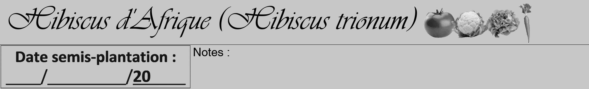 Étiquette de : Hibiscus trionum - format a - style noire15viv avec comestibilité simplifiée
