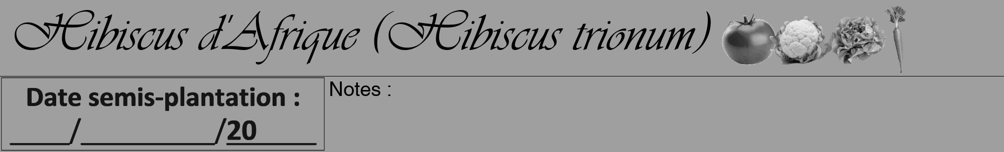 Étiquette de : Hibiscus trionum - format a - style noire24viv avec comestibilité simplifiée