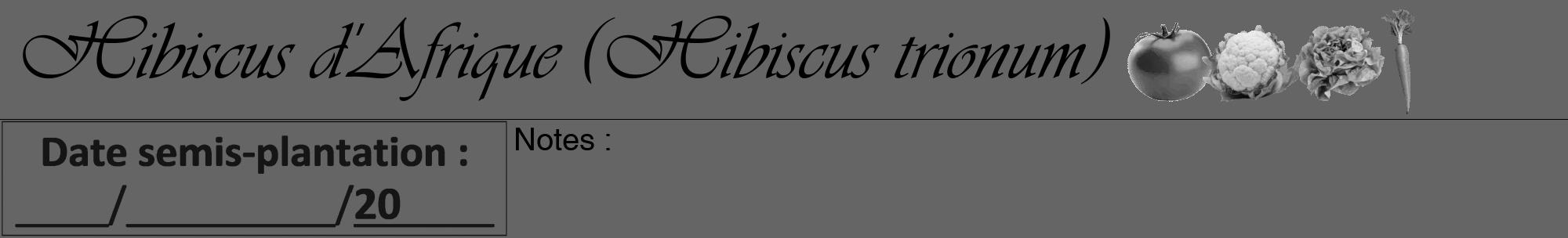 Étiquette de : Hibiscus trionum - format a - style noire32viv avec comestibilité simplifiée