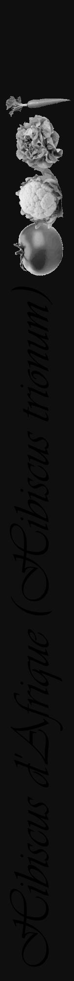 Étiquette de : Hibiscus trionum - format a - style noire7viv avec comestibilité simplifiée - position verticale