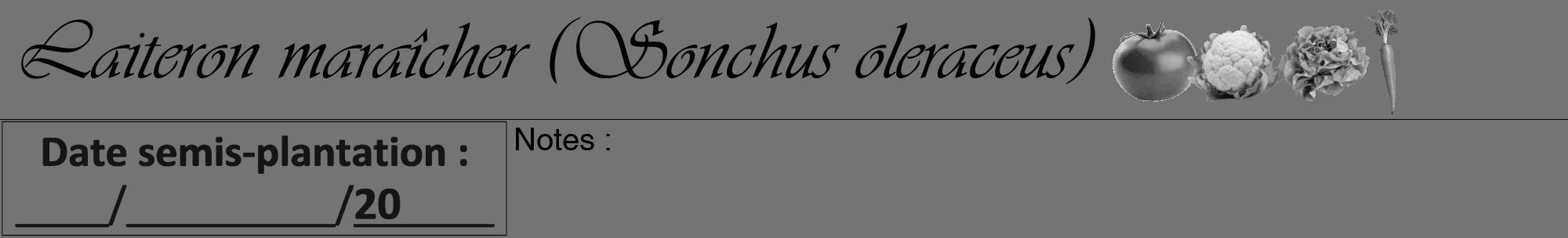 Étiquette de : Sonchus oleraceus - format a - style noire26viv avec comestibilité simplifiée