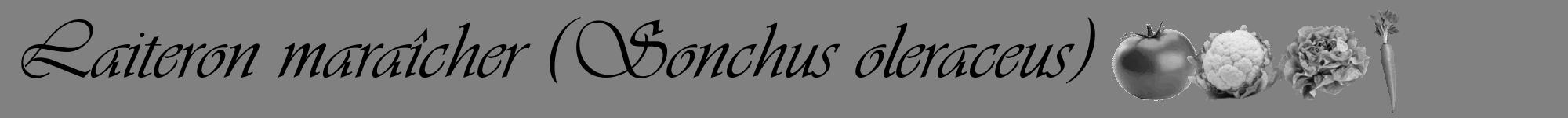 Étiquette de : Sonchus oleraceus - format a - style noire50basiqueviv avec comestibilité simplifiée