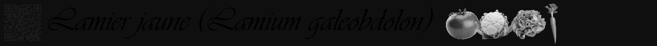 Étiquette de : Lamium galeobdolon - format a - style noire7viv avec qrcode et comestibilité simplifiée